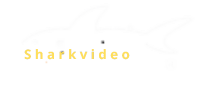 Sharkvideo-2.png